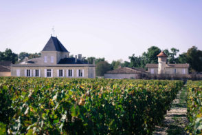 Vineyard with large house