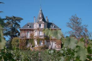 Chateau covered in ivy