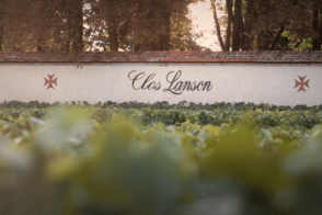 Vineyard with Clos Lanson wall