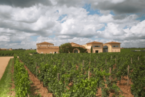 Vineyard with large house under cloudy sky