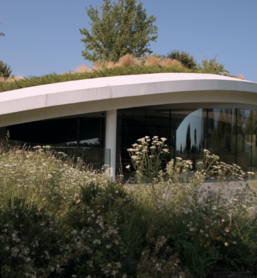 Nouveau chai de Château Haut-Bailly où se marient architecture et nature