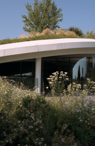 A new winery for Château Haut-Bailly in Pessac-Léognan