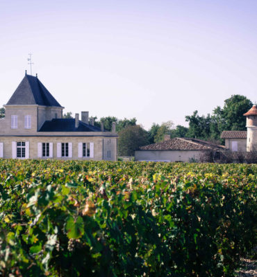 Château Brane-Cantenac: a fine white wine in a land of reds