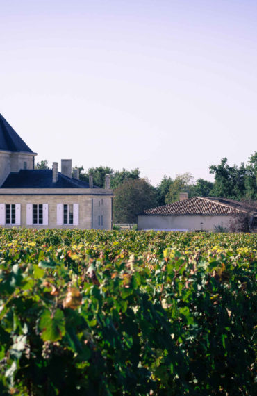 Château Brane-Cantenac : un grand vin blanc en terre de rouge