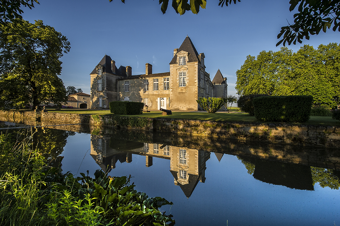Château d'Issan 2020: a new blend to delight the market Château d'Issan 2020: a new blend to delight the market