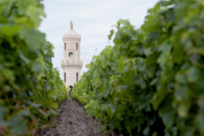 Château Haut-Batailley: A Sleeping Beauty Awakens