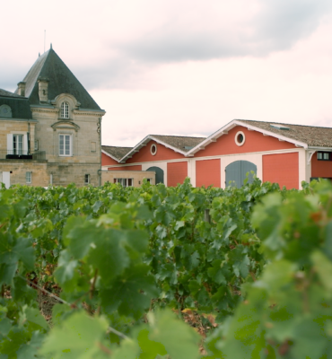 Découvrez deux propriétés des Domaines Barons de Rothschild à l’identité bien marquée : le rebelle et le laboratoire à ciel ouvert