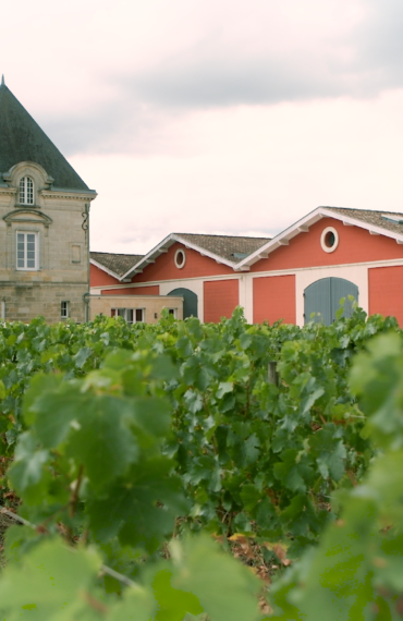 Découvrez deux propriétés des Domaines Barons de Rothschild à l’identité bien marquée : le rebelle et le laboratoire à ciel ouvert