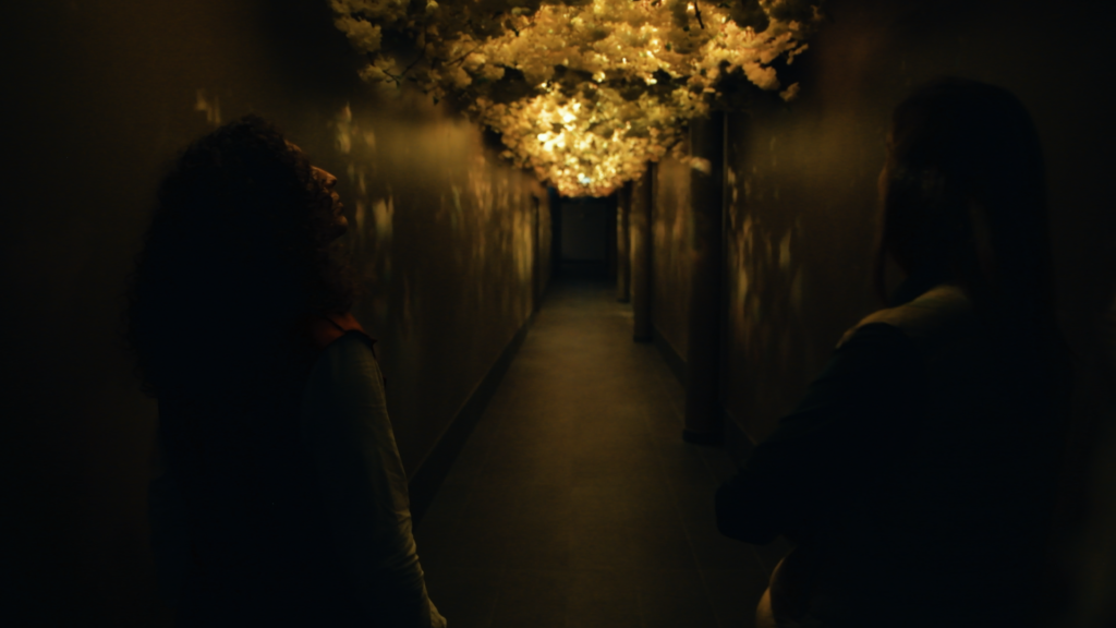 parcours oenotouristique immersive au Château Fleur Cardinale