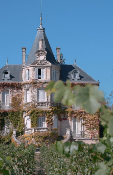 Château Les Carmes Haut-Brion : un grand vin intemporel