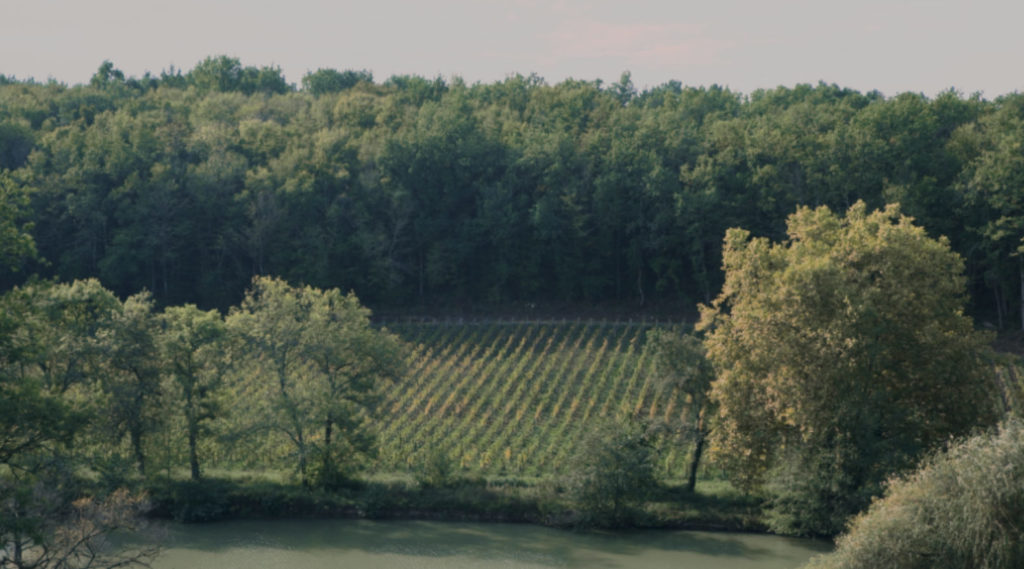 twins-chateau-daguilhe-landscape-wine-merchant-bordeaux