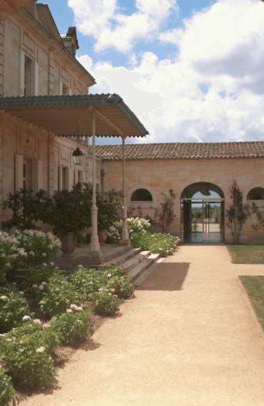 Château Cheval Blanc: agroecology as a hobby horse