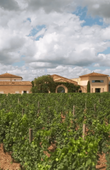 Château La Conseillante, la pépite de Pomerol