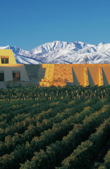 Catena Zapata: Ambassador for Argentinian wine